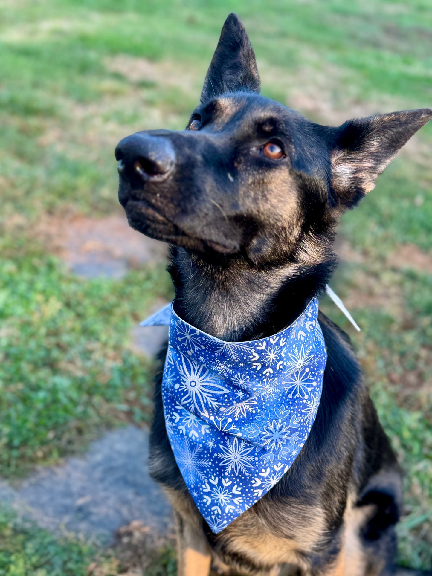 Maya’s Winter Wonderland