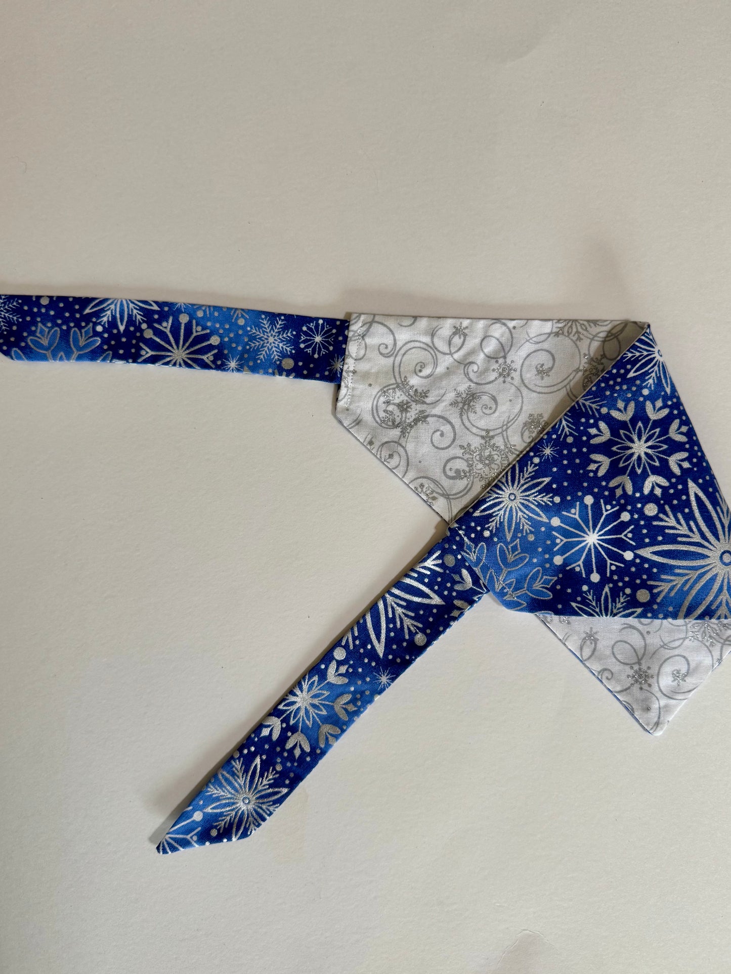 Maya’s Winter Wonderland