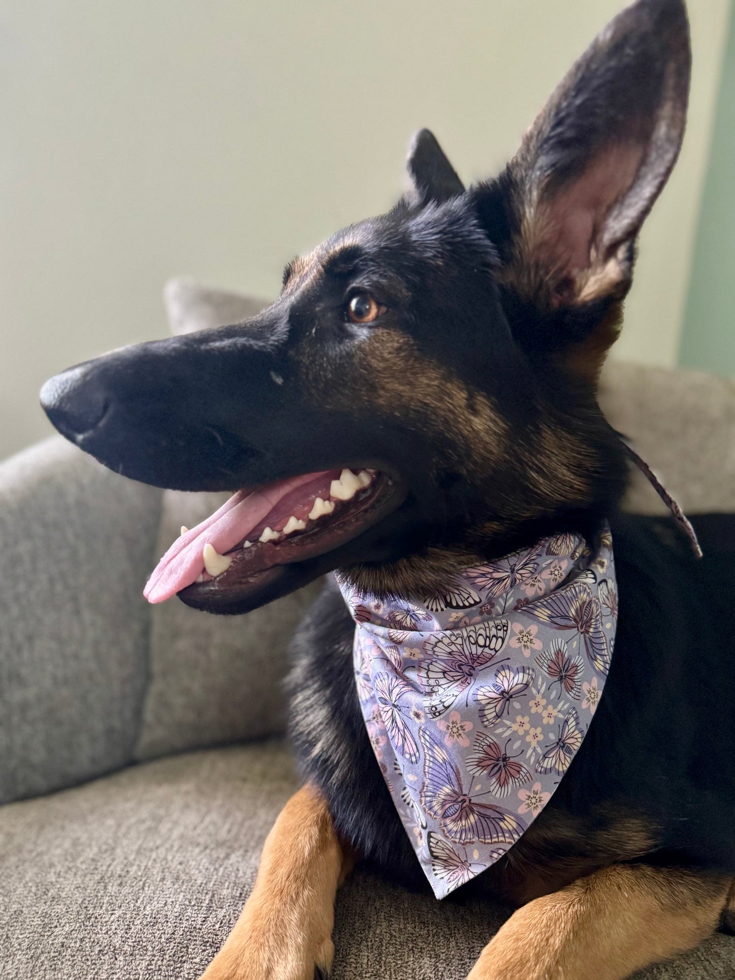 Spring Time with Maya