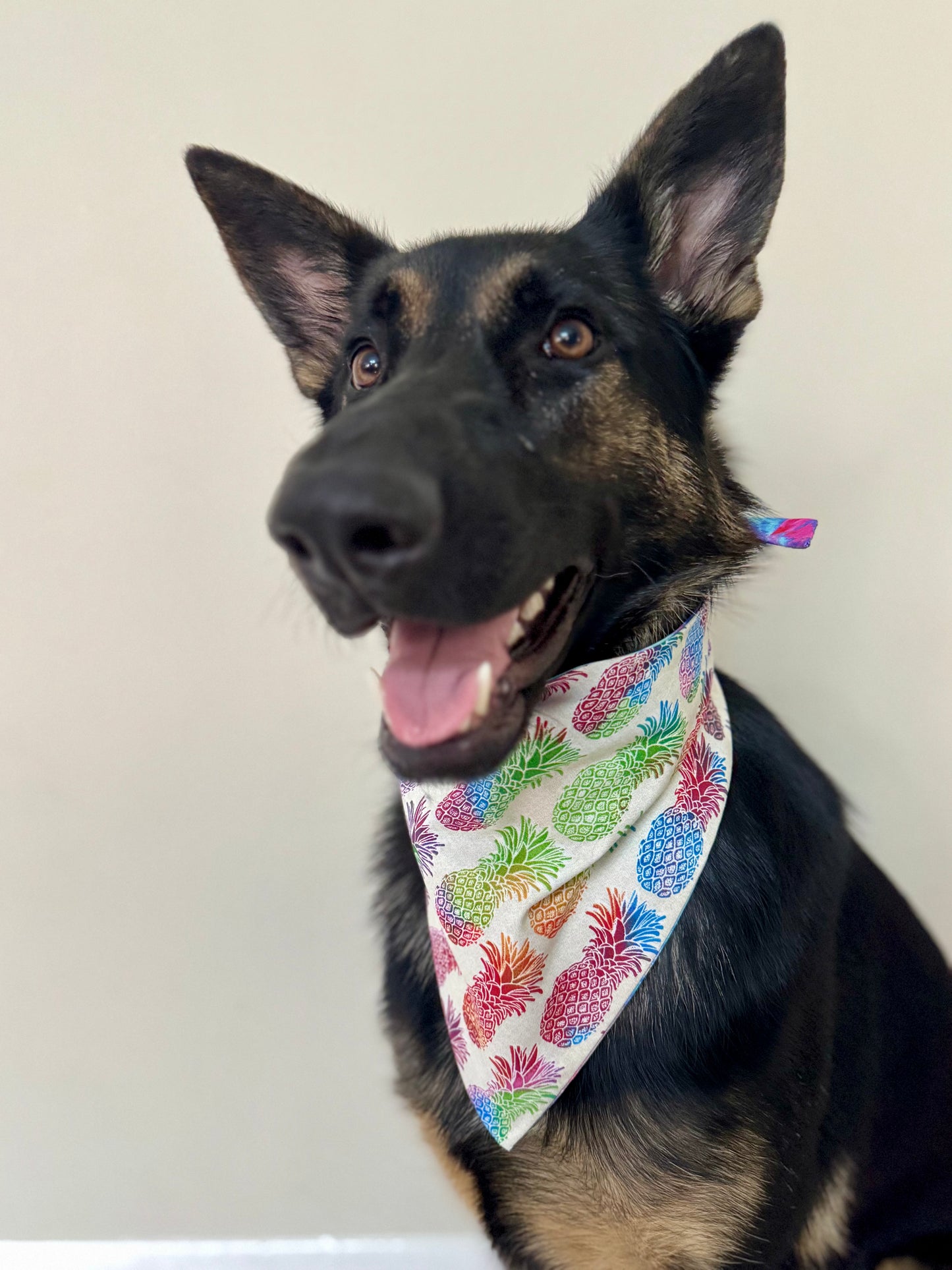 Maya's Pineapple Party