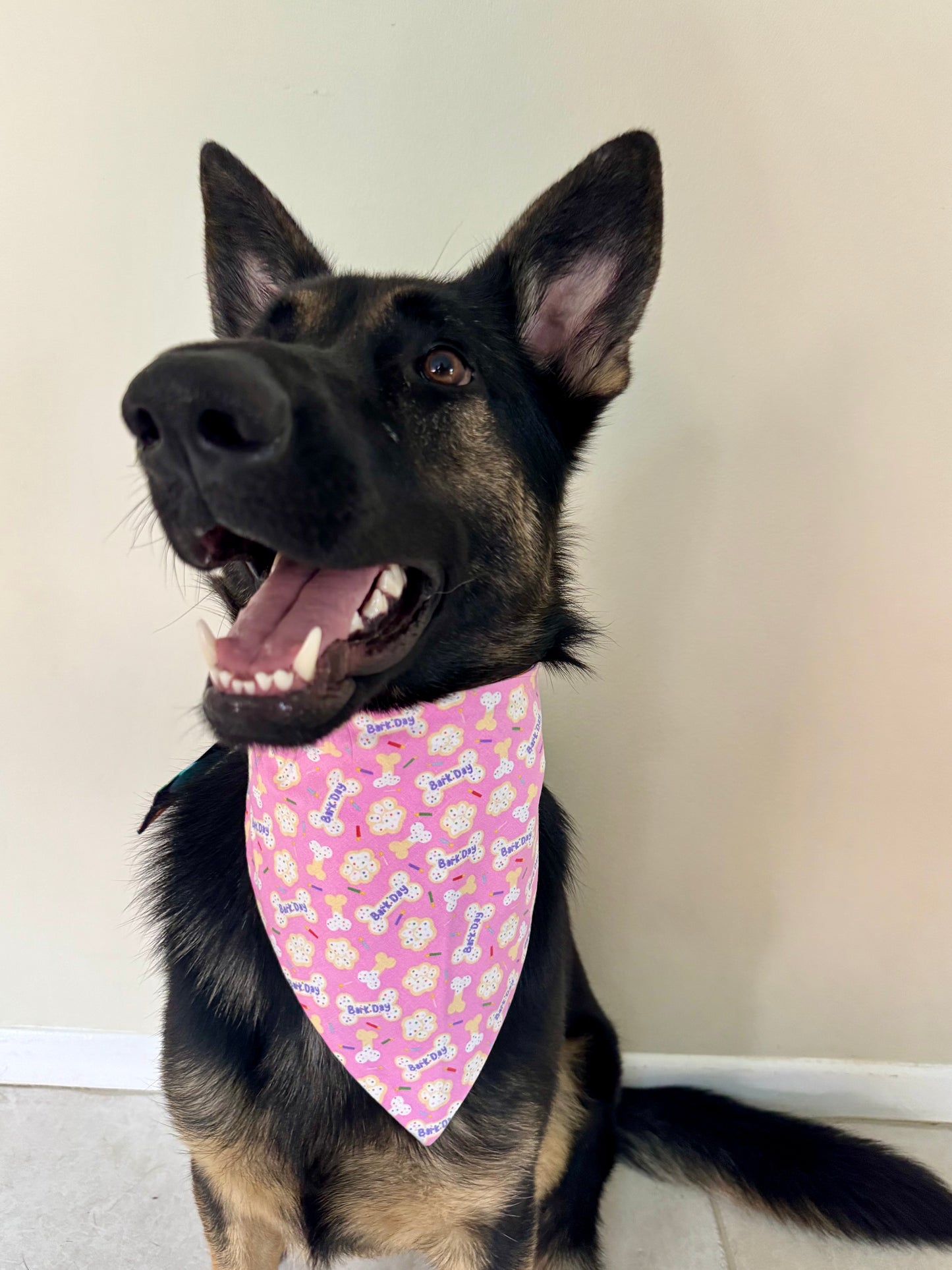 Maya's the Bark-Day Girl