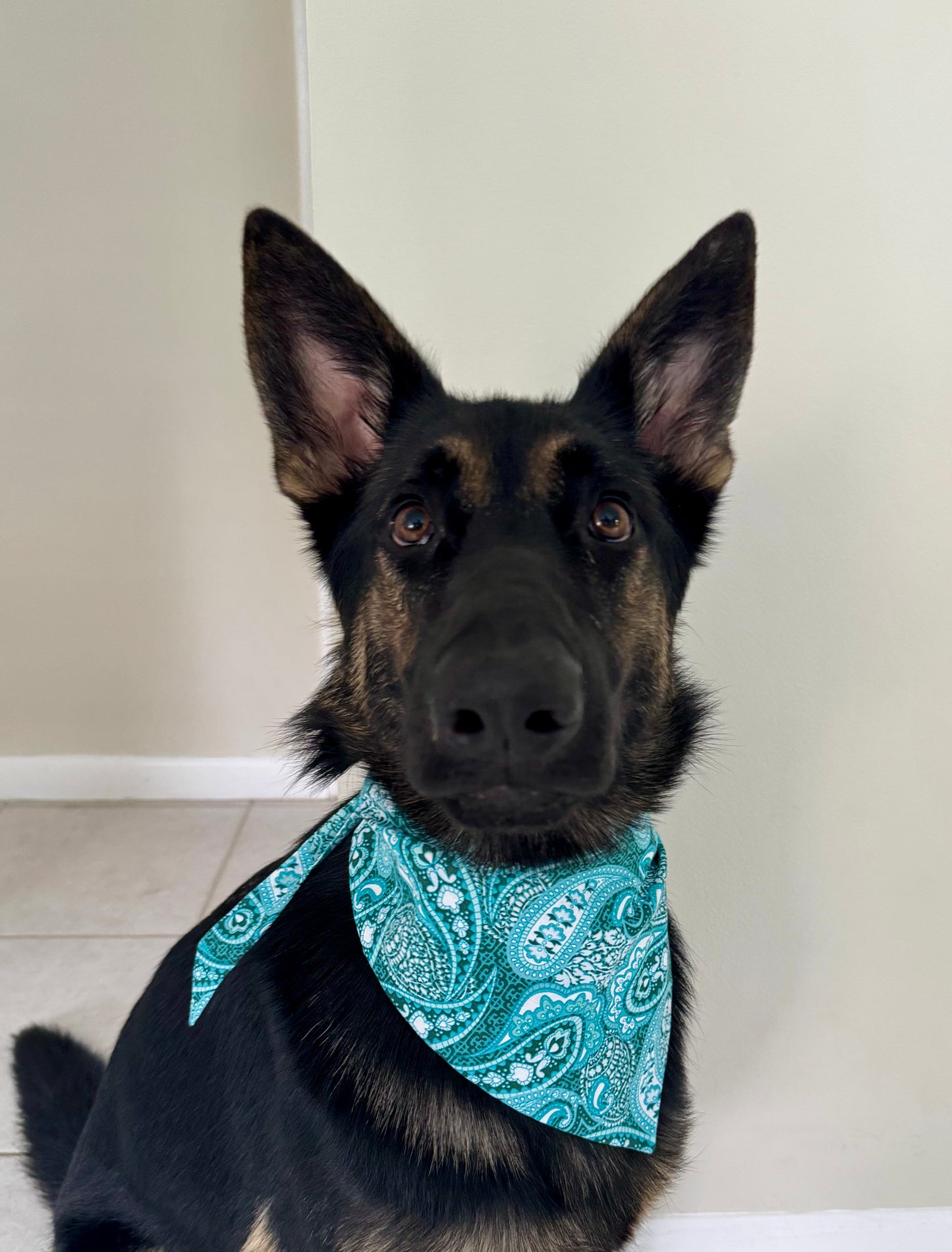 Maya's Blue Bandana