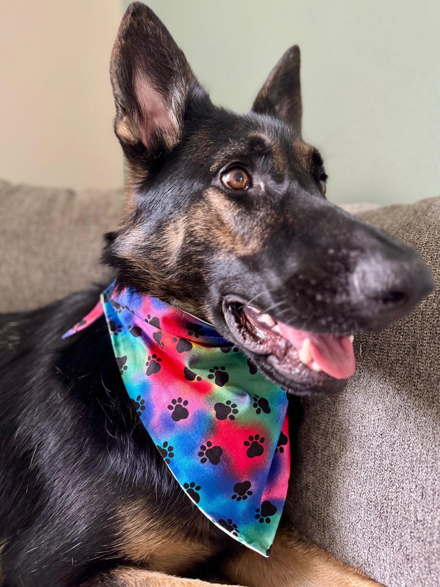 Tie - Dye Maya