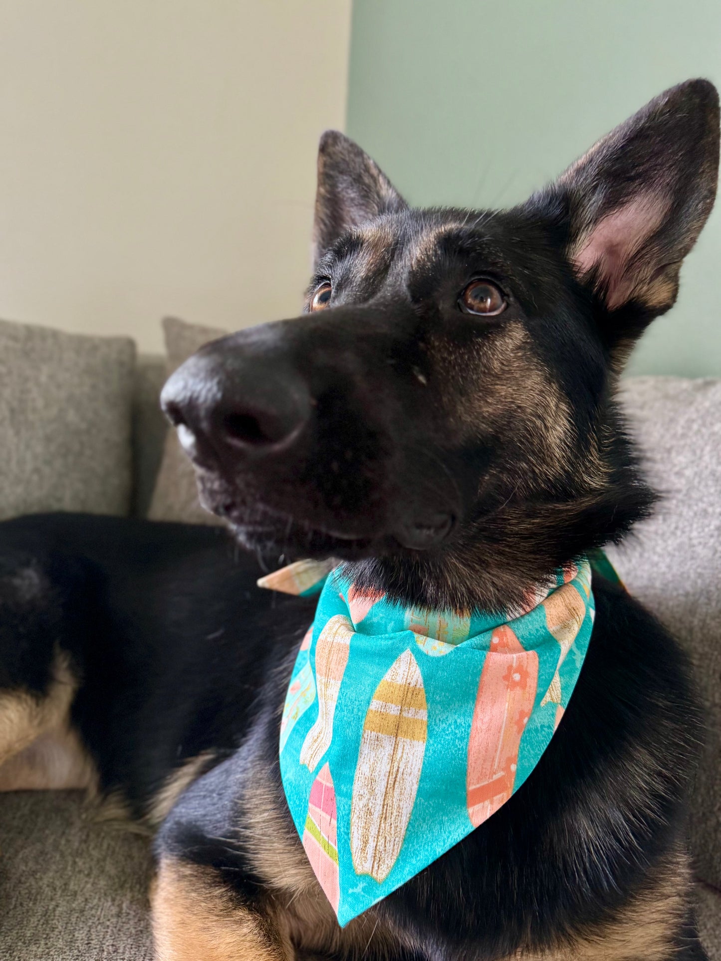 Maya goes Beach side
